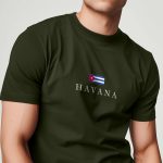 t-shirt-man-a-isolated-front-full-khaki-2610.jpg