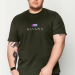 t-shirt-man-a-isolated-front-full-khaki-2610.jpg