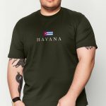 t-shirt-man-a-isolated-front-full-khaki-2610.jpg