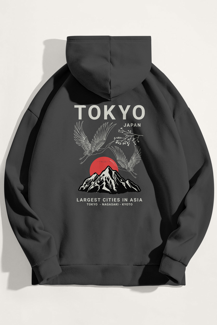 hoodie-man-a-isolated-back-zoom1-iron-gray-3240.jpg