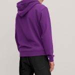 hoodie-man-a-isolated-front-zoom1-purple-3098.jpg