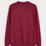 sweatshirts-man-a-g77-front-zoom1-burgundy-2999