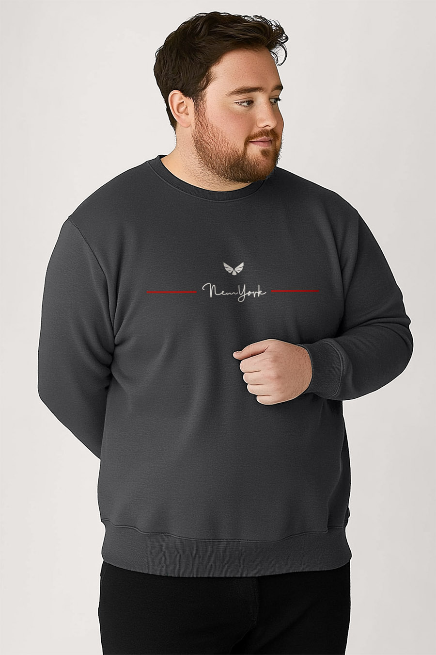 sweatshirts-man-a-fg105-front-full-iron-gray-3205.jpg