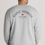 sweatshirts-man-a-g68-back-full-grey-3273.jpg