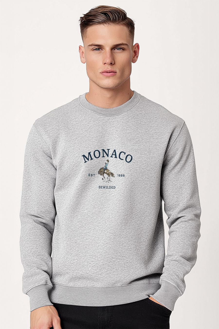 sweatshirts-man-a-g65-front-full-grey-3015.jpg