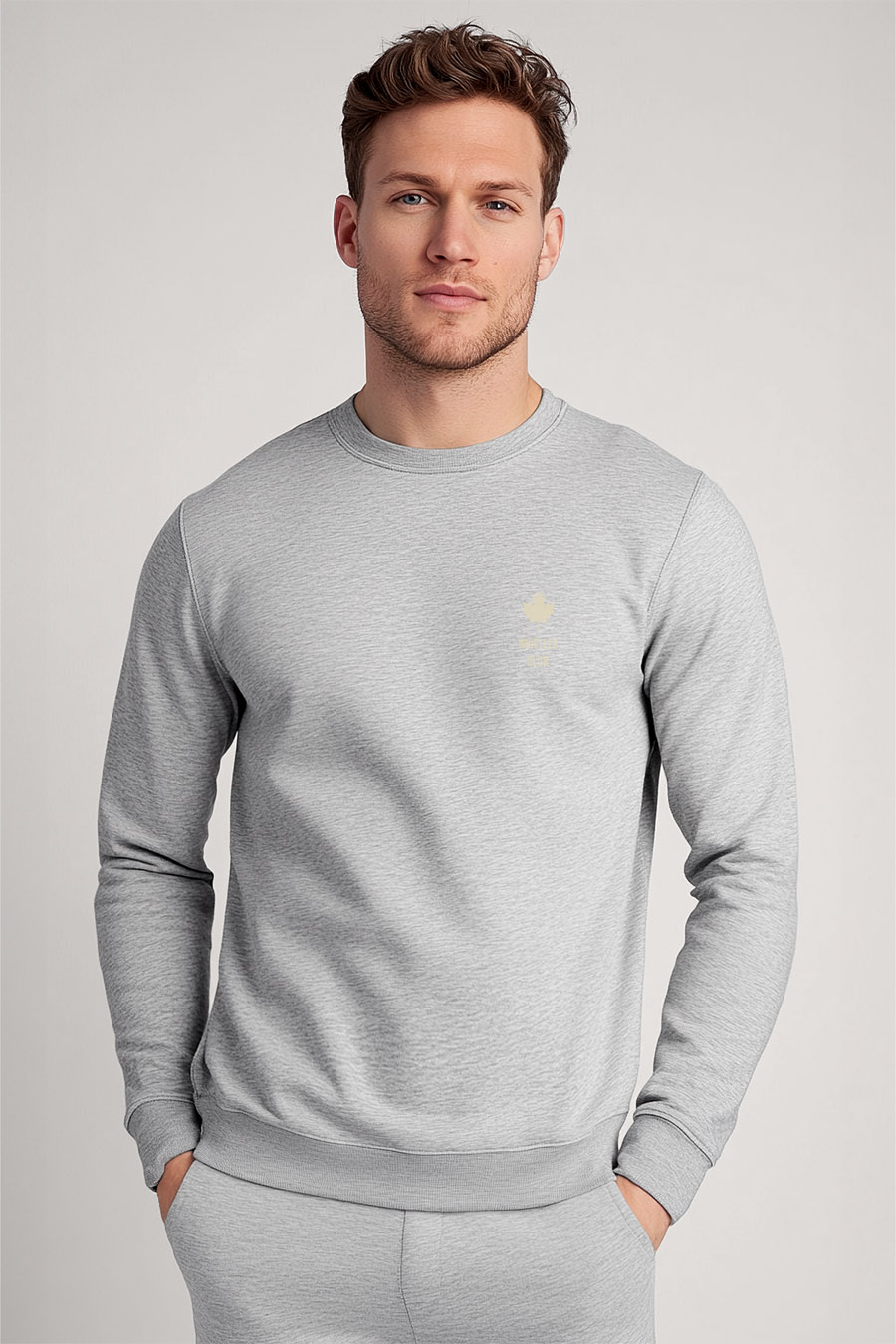 sweatshirts-man-a-g66-front-full-grey-3047.jpg