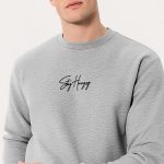 sweatshirts-man-a-g68-back-full-grey-3223.jpg