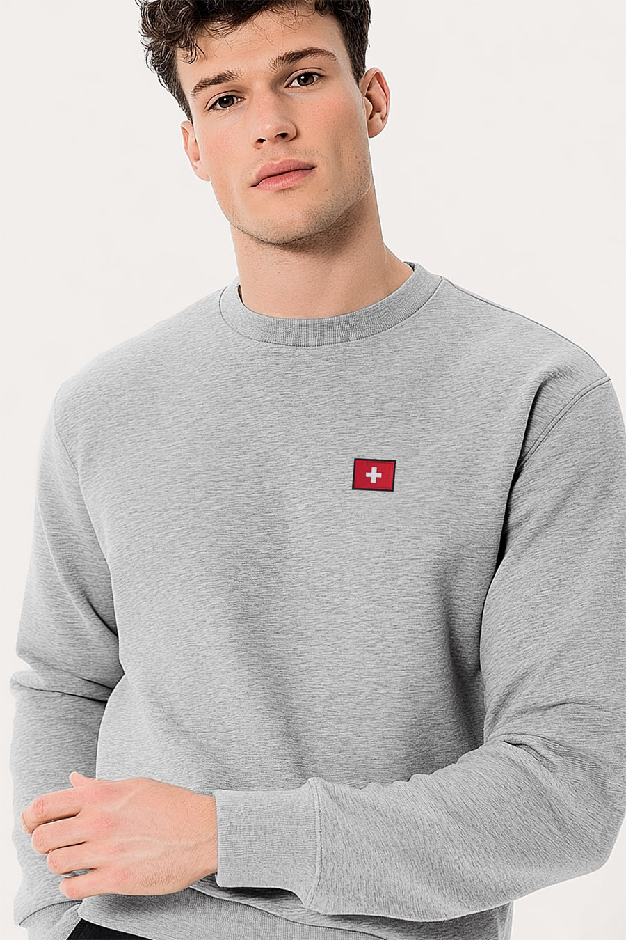 sweatshirts-man-a-g68-front-zoom2-grey-3273.jpg