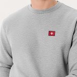 sweatshirts-man-a-g68-back-full-grey-3273.jpg
