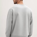 sweatshirts-man-a-g69-front-full-grey-3135.jpg