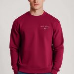 sweatshirts-man-a-g71-front-zoom1-burgundy-3088.jpg