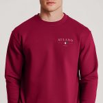 sweatshirts-man-a-g71-front-zoom1-burgundy-3088.jpg