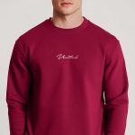 sweatshirts-man-a-isolated-front-full-burgundy-3138.jpg