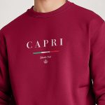 sweatshirts-man-a-isolated-front-full-burgundy-3065.jpg