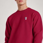 sweatshirts-man-a-g73-back-full-burgundy-3274.jpg