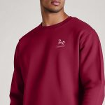 sweatshirts-man-a-g75-back-full-burgundy-3218.jpg