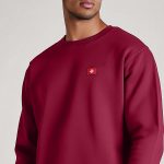 sweatshirts-man-a-g75-back-full-burgundy-3273.jpg