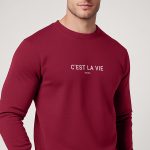 sweatshirts-man-a-isolated-front-full-burgundy-3207.jpg