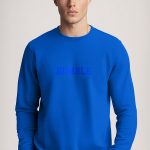 sweatshirts-man-a-g87-front-zoom1-blue-electric-3164.jpg