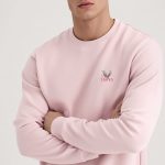 sweatshirts-man-a-isolated-back-full-pink-3240.jpg