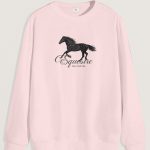 sweatshirts-man-a-g45-front-full-pink-5140.jpg