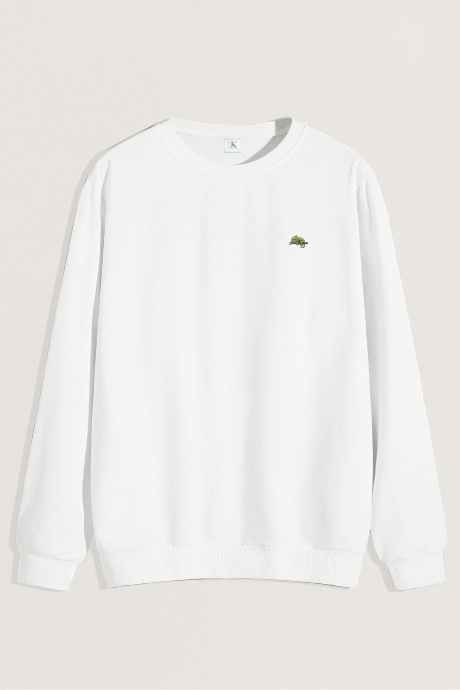 sweatshirt-man-a-isolated-front-full-white-5024.jpg