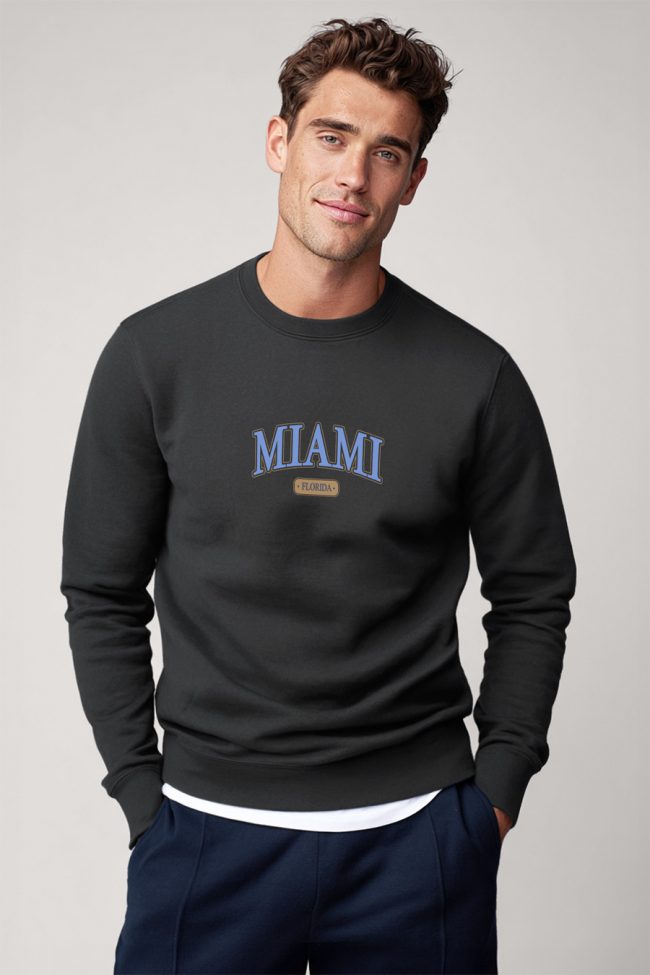 Miami Florida, Φούτερ σε Iron Grey Χρώμα