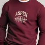sweatshirt-man-a-isolated-front-full-burgundy-5144.jpg