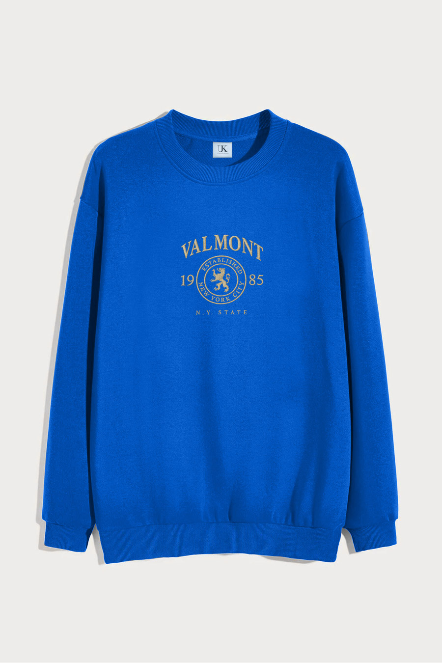 sweatshirt-man-a-isolated-front-full-blue-electric-5125.jpg