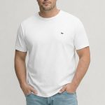 t-shirt-man-a-hanger-front-zoom2-white-5041.jpg