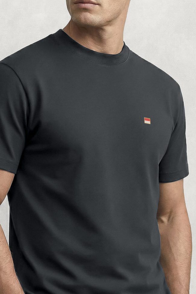 Monaco Flag Mini, Ανδρική Μπλούζα T-Shirt σε Iron Grey Χρώμα