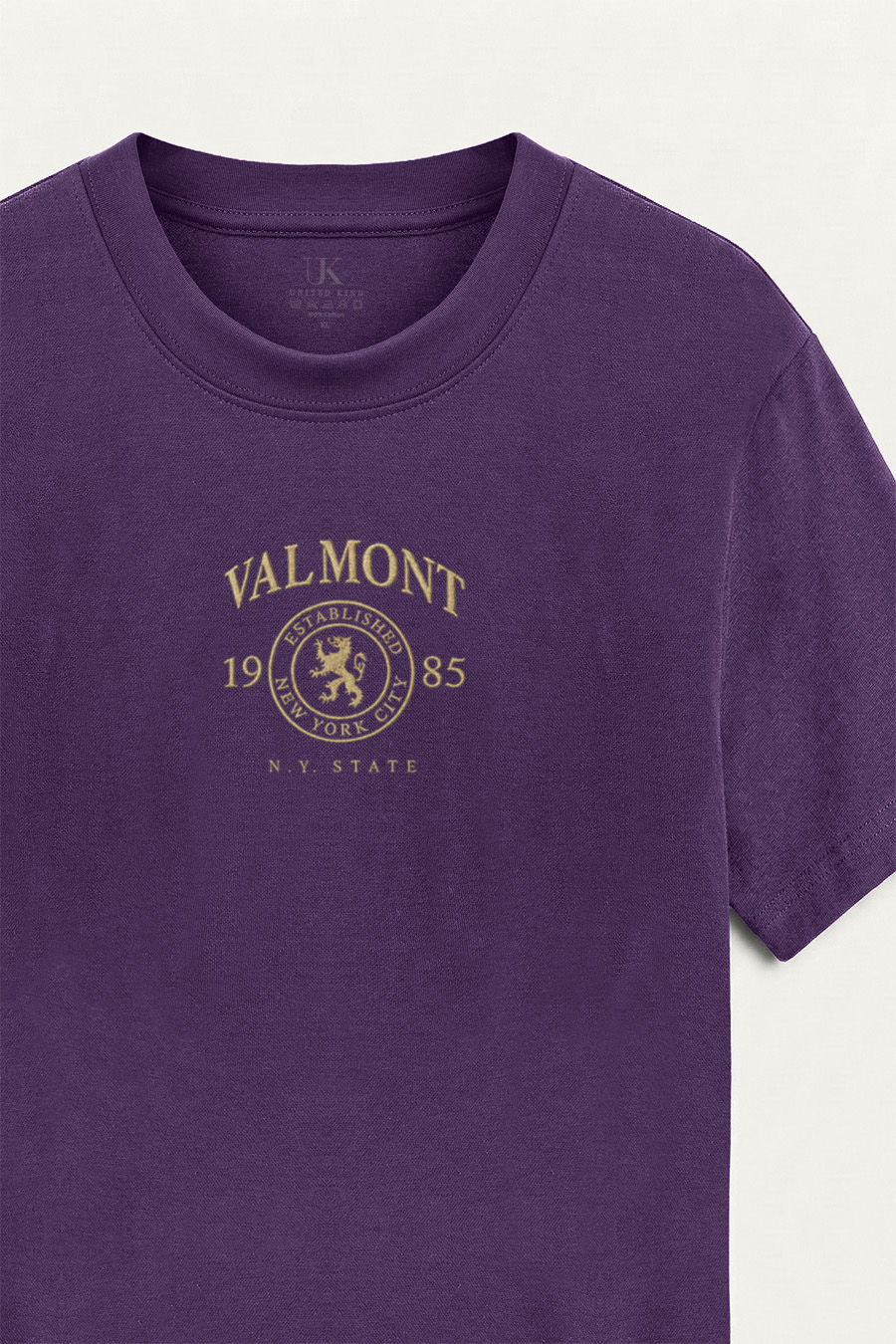 t-shirt-man-a-hanger-front-zoom5-purple-5173.jpg