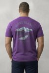t-shirt-man-a-hanger-back-full-purple-5632.jpg