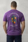 t-shirt-man-a-hanger-back-full-purple-5648.jpg