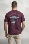 t-shirt-man-a-hanger-back-full-burgundy-5632.jpg