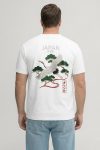 t-shirt-man-a-hanger-back-full-white-5628.jpg