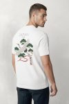 t-shirt-man-a-hanger-back-full-white-5628.jpg