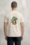 t-shirt-man-a-hanger-back-full-ecru-5648.jpg