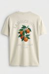 La Dolce Vita Amalfi, T-Shirt σε Εκρού Χρώμα