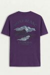 t-shirt-man-a-hanger-back-full-purple-5632.jpg