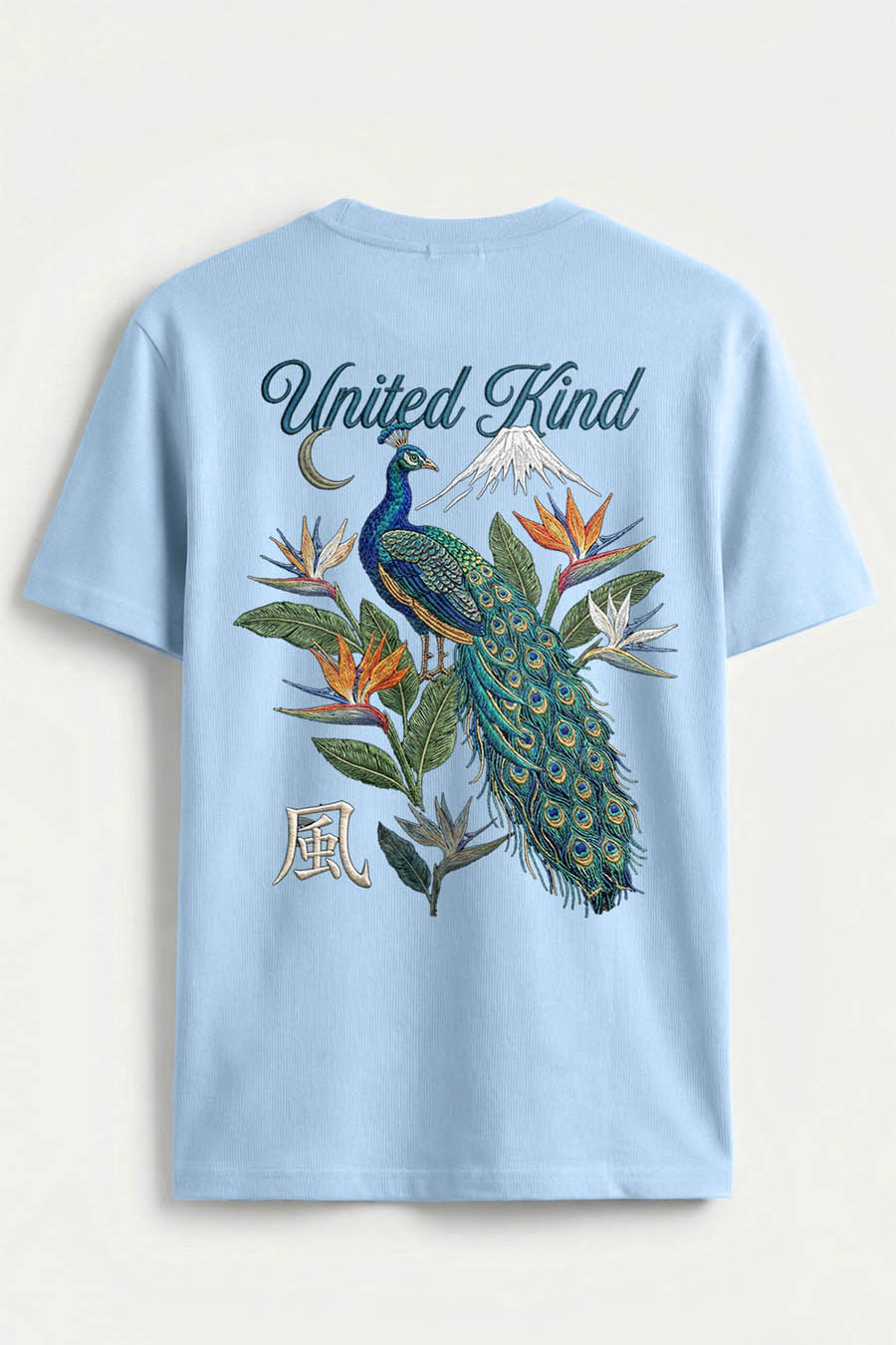 t-shirt-man-a-hanger-back-full-sky-blue-5619.jpg