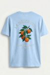 t-shirt-man-a-g7-back-full-sky-blue-5648.jpg