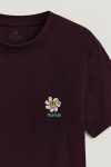 t-shirt-man-a-hanger-back-full-burgundy-5646.jpg