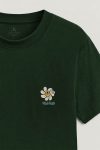 t-shirt-man-a-hanger-back-full-green-5646.jpg