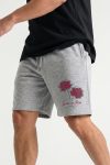 shorts-man-a-isolated-front-full-gray-1135.jpg