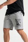 shorts-man-a-isolated-front-full-gray-1156.jpg