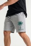 shorts-man-a-isolated-front-full-gray-1218.jpg