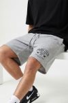 shorts-man-a-isolated-front-full-gray-1145.jpg