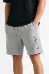 shorts-man-a-isolated-front-full-gray-1025.jpg
