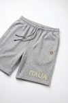 shorts-man-a-isolated-front-full-gray-1117.jpg